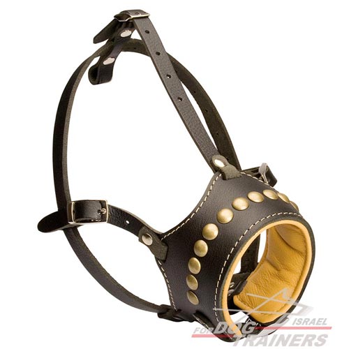 זמם לכלב מרופד עם ניטים מפליז