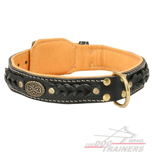 קולר לכלב מעור בסגנון מלכותי אקסקלוסיבי
