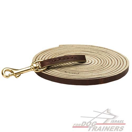 רצועת עור לכלב הטובה ביותר לגישוש