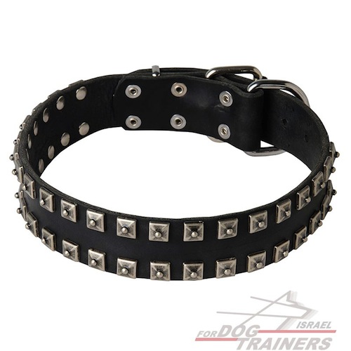קולר לכלב מעור עם קישוטי פרמידות ב-2 שורות
