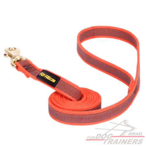 רצועת הליכה מניילון חזק לכלבים בינונים וגדולים