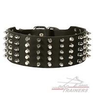 קולר לכלבים מעור רחב לכלבים בינוניים-גדולים