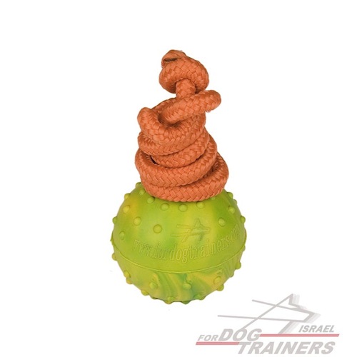 כדור אימון לכלבים על חבל עשוי גומי מוצק - גודל בינוני 6 ס"מ